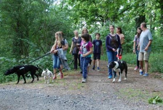 Ein Betreuer geht mit einer Gruppe Jugendlicher und mehreren Hunden im Sommer im Wald spazieren