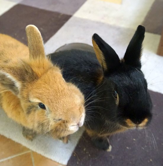 Ein Bild von Ginny & Fili